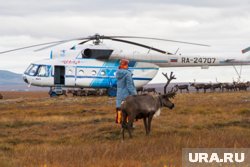 В Тазовской тундре ЯНАО оленеводы встретили делегацию окружного правительства