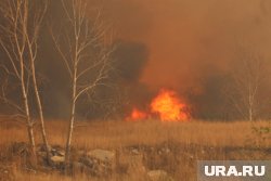 По предварительным данным, причиной крупного пожара вечером стал умышленный поджог (архивное фото)