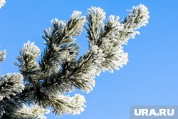 Самыми холодными днями недели станут понедельник и вторник