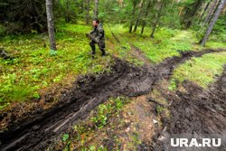 Медики с помощью бульдозера сами делают дорогу