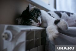 12 мая похолодает — среднесуточная температура на три дня установится на отметке 8,5 градусов