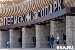 В Перми открылся долгожданный зоопарк