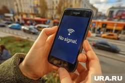 Жители Курской области пожаловались на сбои в работе Starlink