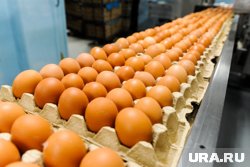 Крупнейшую птицефабрику Тюменской области готовят к приватизации