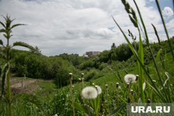 Воздух прогреется до +24 градусов