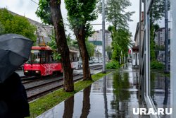 Дождливая погода ожидает пермяков