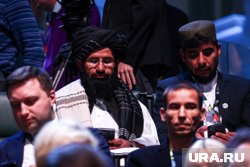 После прихода талибов* к власти товарооборот с Афганистаном достиг миллиарда долларов, заявил Рустам Хабибуллин