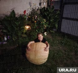 Жители Курганской области вырастили тыкву-великана