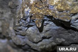 Мечкинская пещера находится примерно в 20 километрах к северу от города Кунгур, на левом берегу реки Мечки