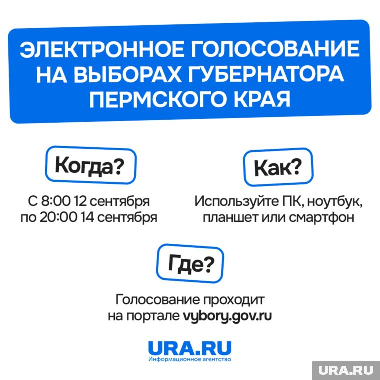 Проголосовать электронно - просто