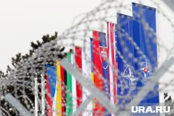 НАТО рассматривала размещение военных на Украине в начале СВО