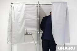 Информация о доходах кандидатов будет доступна в интернете