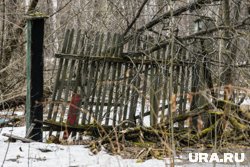 Если участок находится в ненадлежащем состоянии, он рискует быть изъятым