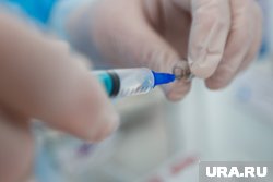 Роспотребнадзор выявил причину массового отравления детей в лагере