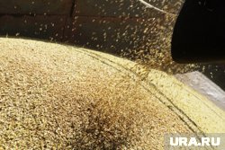 Аграрии из Курганской области перешагнули экватор уборочной кампании