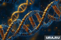 Родственникам необходимо сдать биологические образцы для проведения анализа ДНК