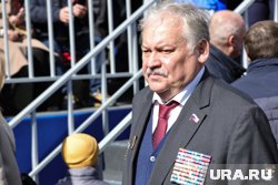 Затулин назвал снос памятника Айвазовскому вандализмом