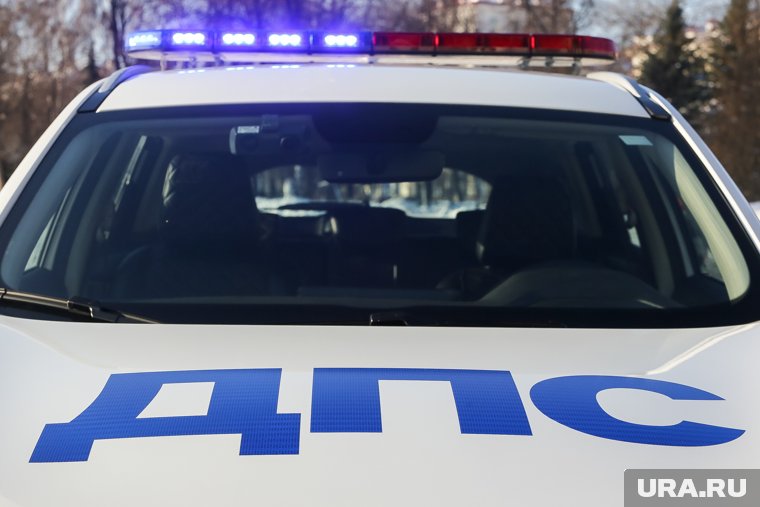 Подозреваемые были задержаны сотрудниками Госавтоинспекции в кратчайшие сроки