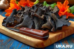 Черные лисички имеют особенный изысканный вкус