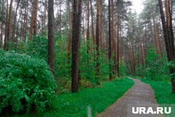 На площадке обновят покрытие и установят новые спортобъекты
