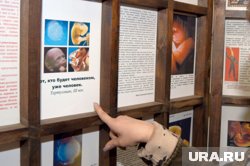 За десять лет в ХМАО удалось предотвратить более 11 тысяч абортов 