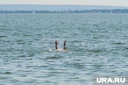 По данным МЧС, в регионе с начала года на водоемах утонули 12 человек