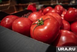 На прилавках пермских магазинов появятся казахстанские помидоры (архивное фото)