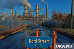 В ФРГ уверены, что задержанный украинец причастен к диверсии на «Северных потоках», он был водолазом