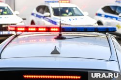 Нарушителем заинтересовались в областной Госавтоинспекции