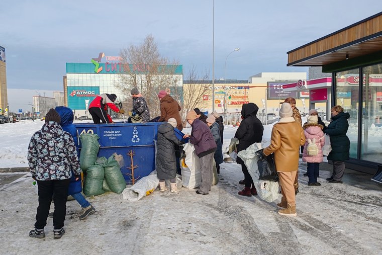 Пункты приема деревьев находились возле просветительских площадок проекта «Экодом»