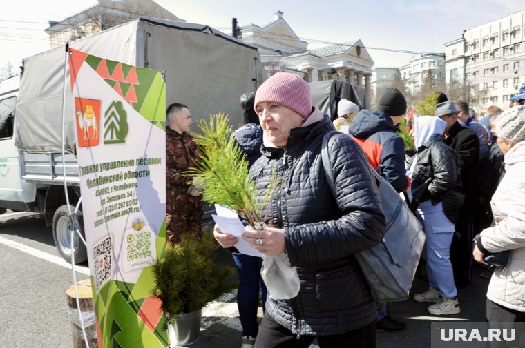 Очередь за бесплатными саженцами появилась за час до запланированного начала