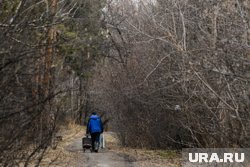 Россияне начали активно посещать курсы по выживанию в дикой природе