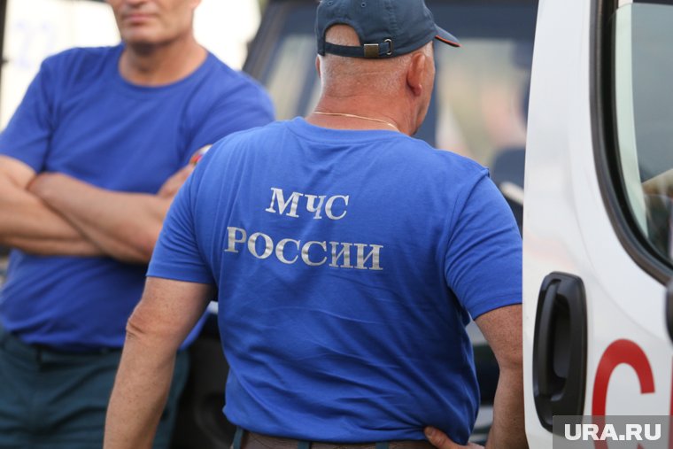 Сотрудники МЧС выехали на место пожара