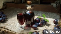 Домашние напитки из сливы может приготовить каждый