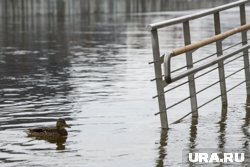 Из-за наводнения и оползней в Непале погибло несколько десятков людей