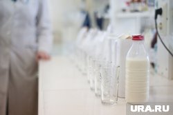 Фантомное учреждение было найдено при проверке поставок молочной продукции