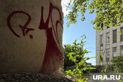 В Кургане появляются изображения кошек-чертей