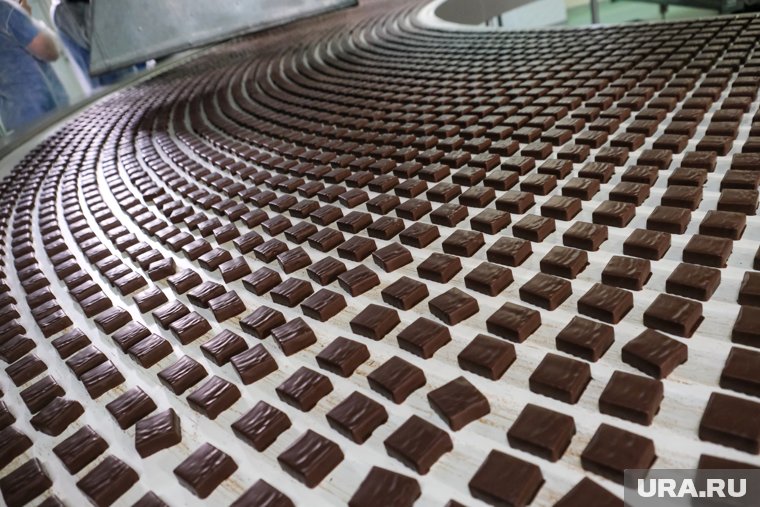 Шоколад может предотвратить развитие риска сердечно-сосудистых заболеваний и рака