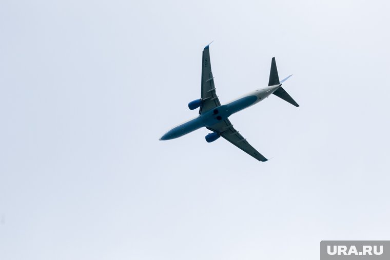 Turkish Airlines отменила из аэропорта Внуково несколько рейсов