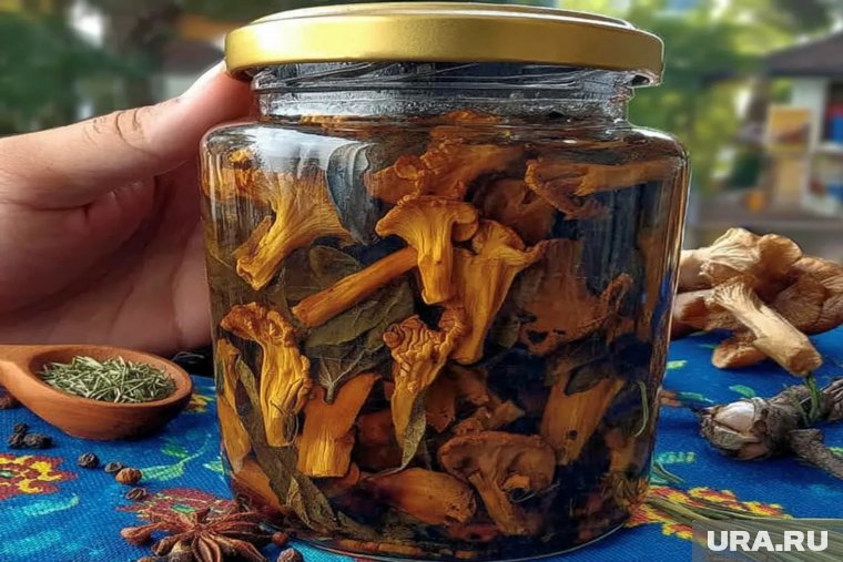 Маринованные лисички подойдут к любому празднику