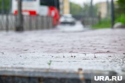 Несмотря на дожди и грозы в регионе будет по летнему тепло - до +32 градусов