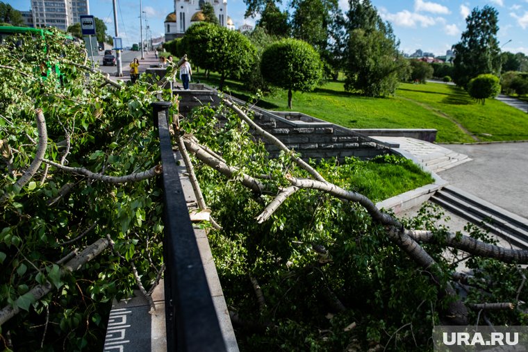 Из-за сильного ветра деревья в центре города Кургана оказались сломанными пополам 