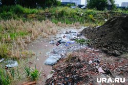 В этом болоте почти утонул ребенок