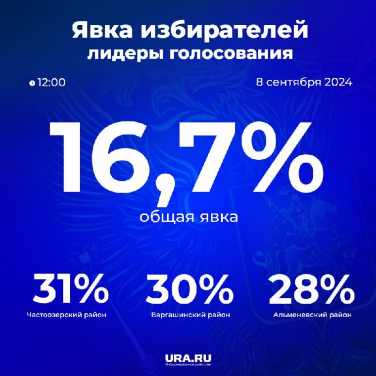 Явка на выборах губернатора в Курганской области на 12 часов