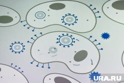 Если от вируса бешенства не защититься, он гарантированно убьет 
