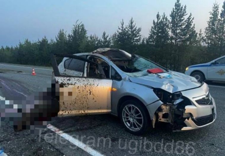 Разбитый автомобиль после столкновения с лосем на дороге в ХМАО