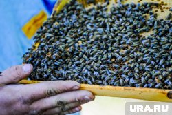 Ежегодно 2 октября православные верующие чтят память святых мучеников Трофима Синадского и Зосимы Киликийского