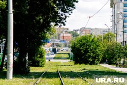 Теплая погода ожидается всю неделю