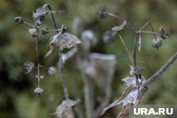 Ночью температура воздуха опустится до -10 градусов