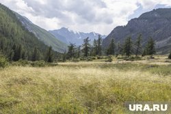 В Республику Алтай прибывает все больше и больше туристов, подчеркнул Мишустин